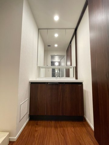 RJR堺筋本町タワーの洗面所