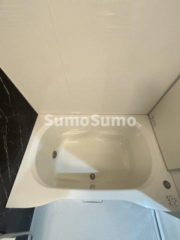 パークフラッツ安堂寺町の浴室