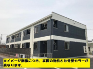 アムールの画像