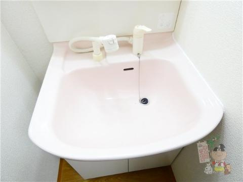 グランベルデ南方ＷＥＳＴの洗面所|シャンプードレッサー