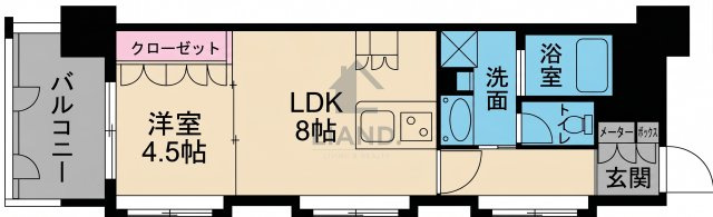 サンロージュ薬院駅前　平尾小学校区の間取り|サンロージュ薬院駅前