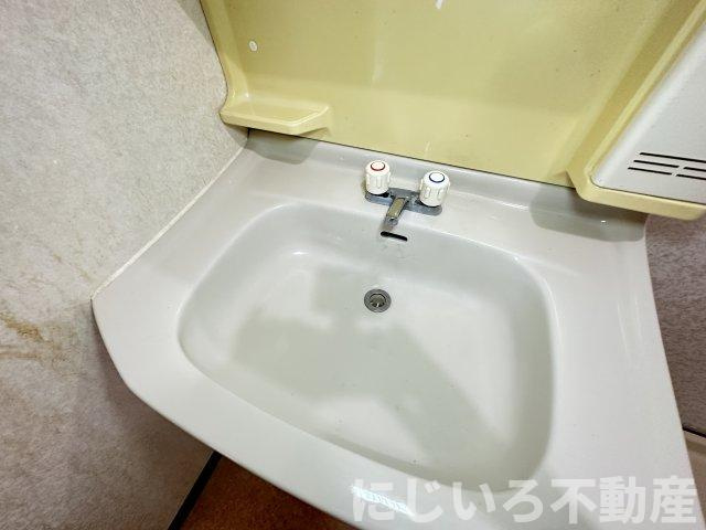 エクセレントハイツコスモⅡの洗面所