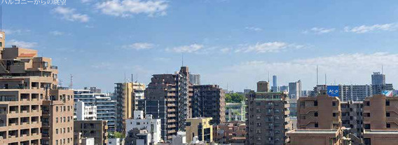 ライオンズプラザ西大島駅前の展望
