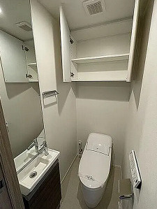 ザ・パークハビオ蒲田のトイレ|落ち着いた色調のトイレです