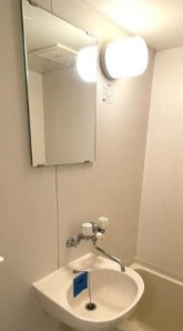 パレスシャルムⅠの洗面所