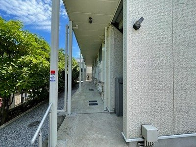 レオネクストシャインブルーのその他