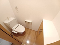 収納有、落ち着いた色調のトイレです