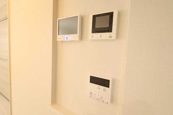 ルヴィータ大秋のセキュリティ