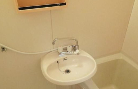 ホワイトコート駒込の洗面所