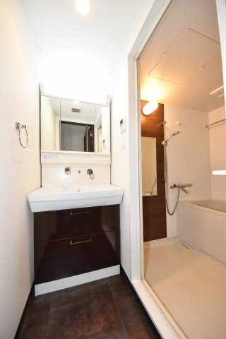 エスレジデンス淀屋橋の洗面所