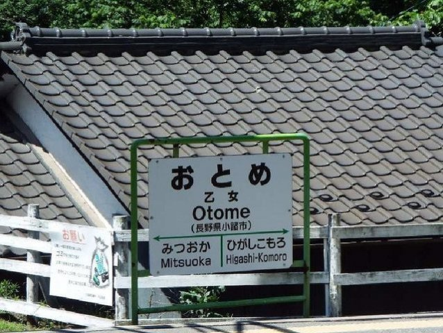 カーサアパンツァート　Ｂの周辺|乙女駅まで750m