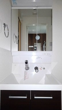 クレシア横浜山手の洗面所