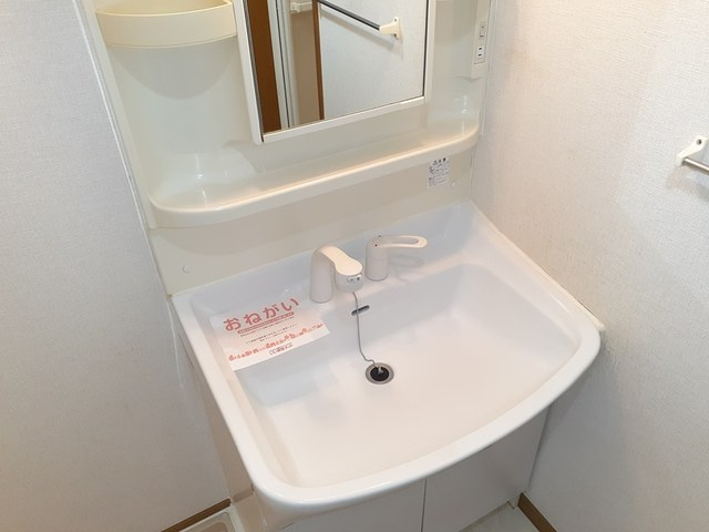 リバーサイドさくらⅠの洗面所