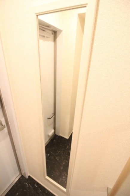 クレイノコキアのその他