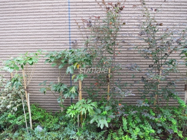 アイル赤羽サウスの周辺|植栽があって癒されますね
