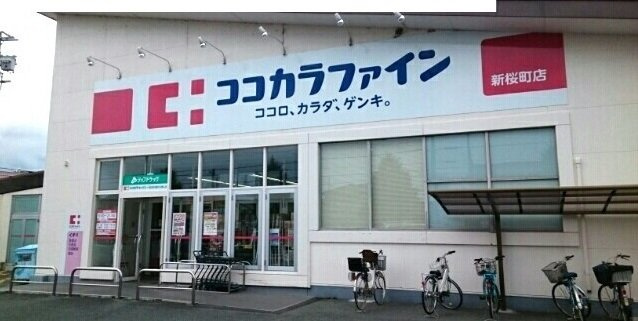 ヒラソルの周辺|ココカラファイン様まで350m