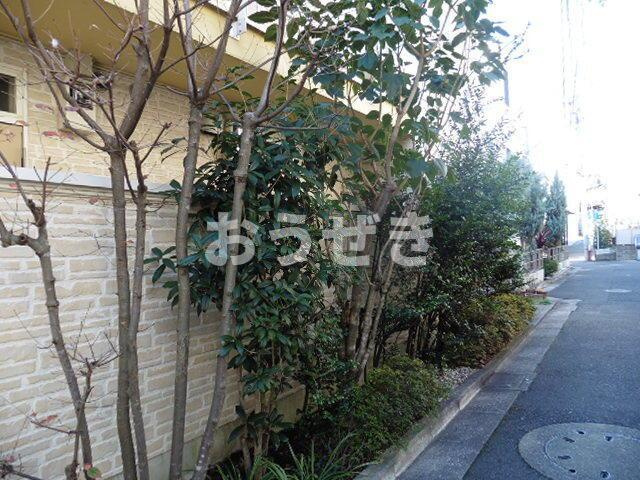 パティオ三宿の庭|植栽：2016年2月撮影