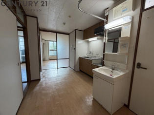 シャンプードレッサー