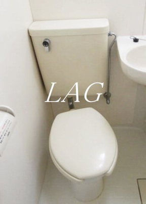【トイレ】 | メゾン・ドゥ・金子 | トイレです。