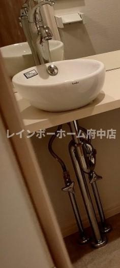 アザーレ・バモス登戸Ⅱの独立洗面台