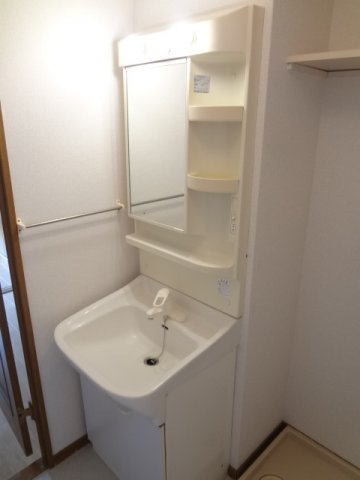ロイヤル弐番館の洗面所