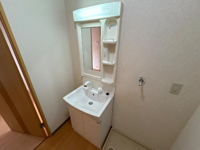 センチュリーハイツの洗面所|シャンプードレッサー