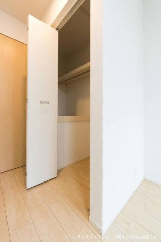 ガーベラ・アモールの収納