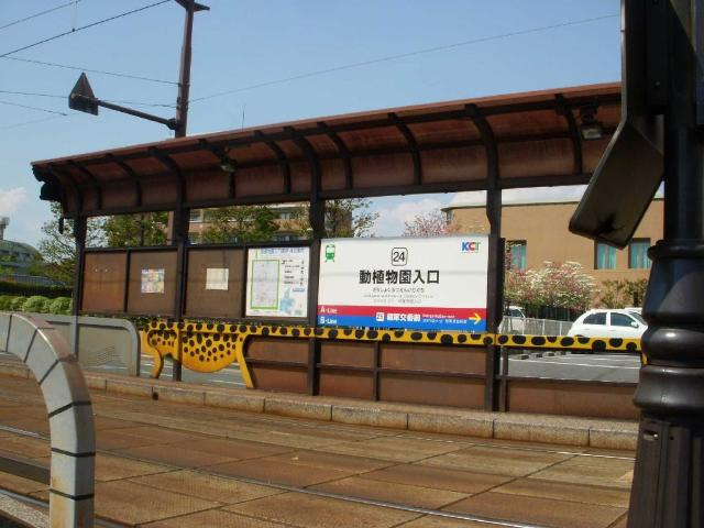Ｌｉｅｂｅ　Ａｖｅｎｉｒ　　の周辺|動植物園入口駅(熊本市交通局　健軍線)まで464ｍ