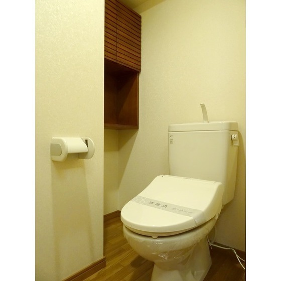 熊本市中央区大江５丁目の賃貸マンションのトイレ