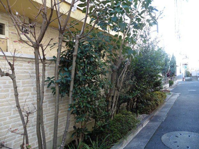 【庭】 | パティオ三宿