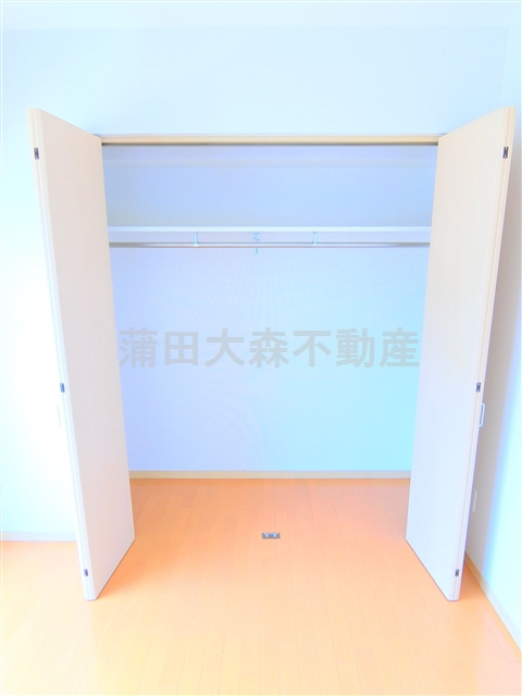 ストリーム多摩川の収納|収納　大型クローゼット