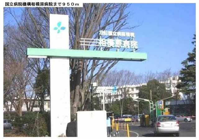 グリシーヌの周辺