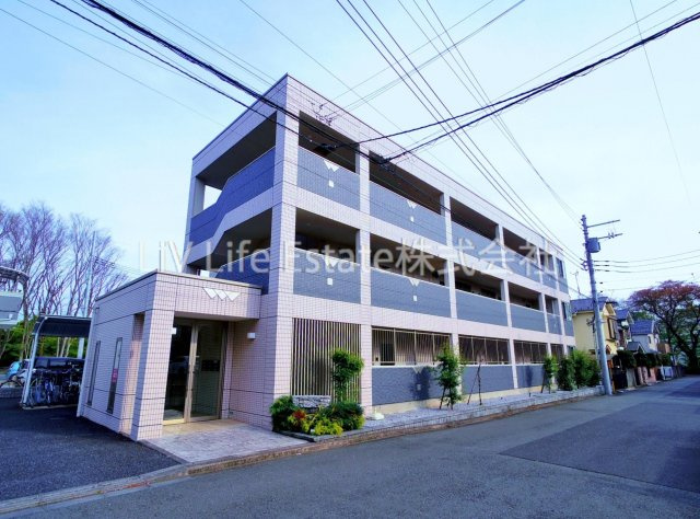グレイシャス（Gracious）