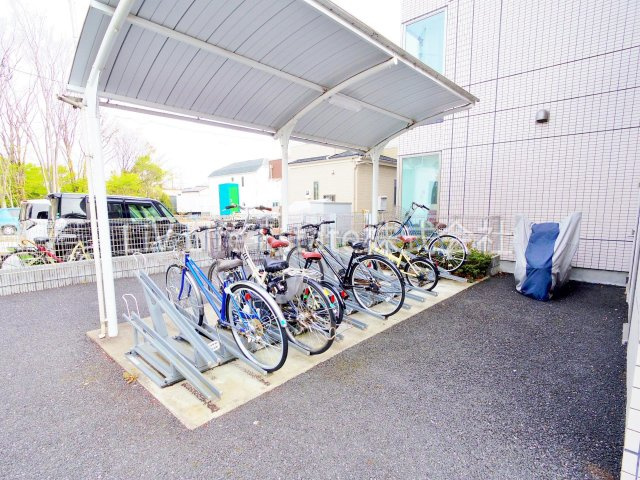 グレイシャス（Gracious）