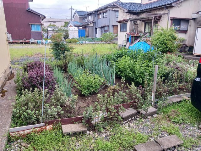 現在、畑があり、現状渡しとなります。