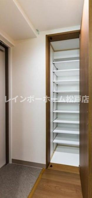 セナリオフォルム三郷中央の玄関|落ち着いた玄関です
