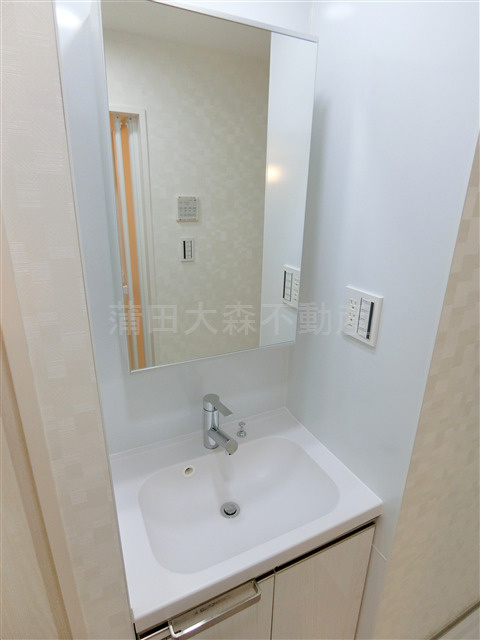 COCOCUBE大森本町の洗面所