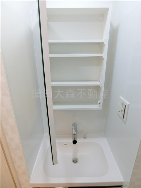 COCOCUBE大森本町の洗面所