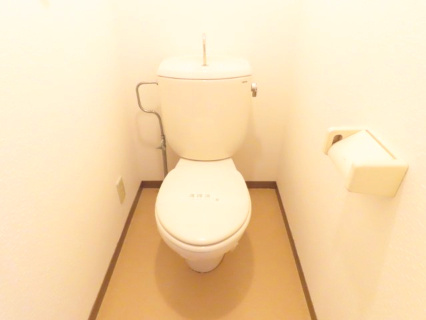 マテバシイソウのトイレ