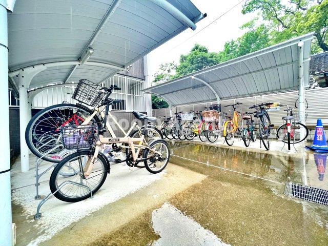 グランドコスモスのその他