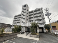 カトンテールの画像