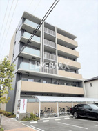 The Sevens'の画像