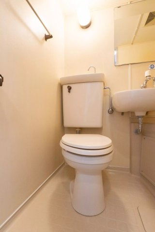 AP1476 メゾン・ド・祇園のトイレ|落ち着いた色調のトイレです