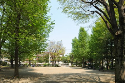 【周辺】 | 練馬区氷川台4丁目　宅地分譲【駅歩5分・東南角地・39坪超】12990万円 | 高稲荷公園