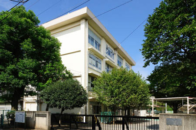 【周辺】 | 練馬区氷川台4丁目　宅地分譲【駅歩5分・東南角地・39坪超】12990万円 | 練馬区立仲町小学校