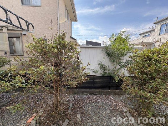 センチュリーの展望