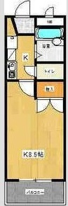 レナ三宅の間取り