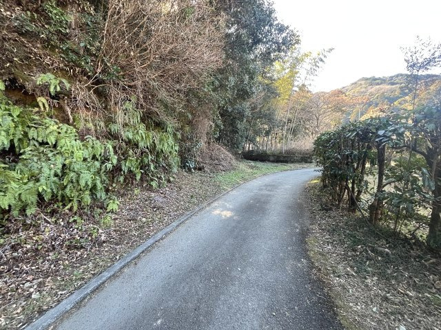 【前面道路含む現地写真】 | 中古一戸建　土佐市塚地