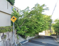 芦屋市東山町　土地の画像