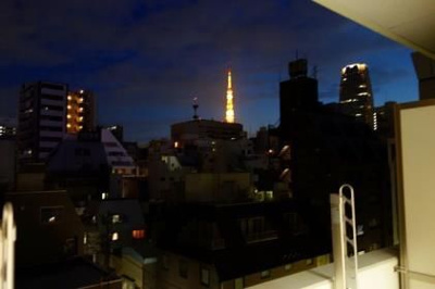 【展望】 | アデニウム新橋
